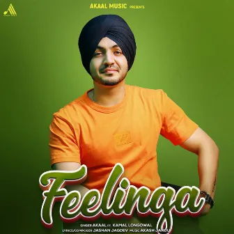 Feelinga by Akaal