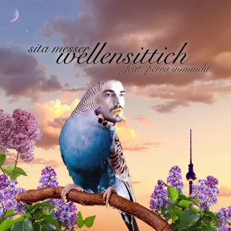 Wellensittich by Sita Messer