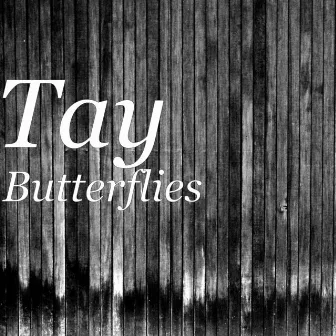 Butterflies by Tay