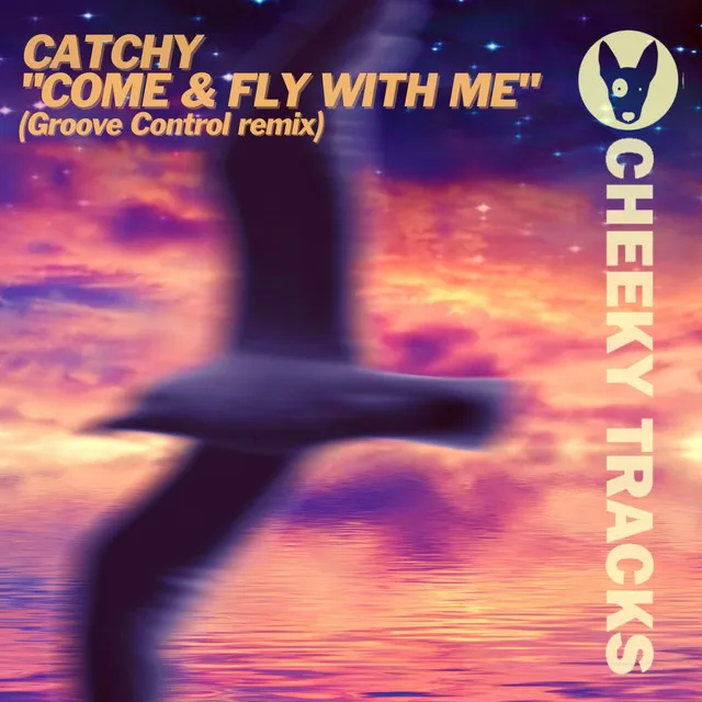 Come & Fly With Me - Groove Control Radio Edit