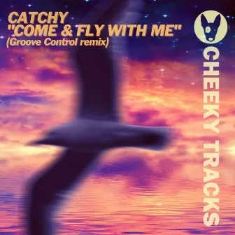 Come & Fly With Me (Groove Control remix) by Catchy