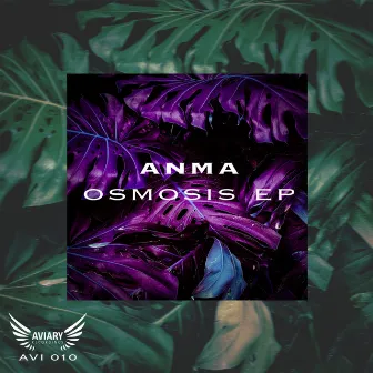 Osmosis by ANMA