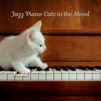 Jazz Piano Cats in the Mood by Background Jazz Music