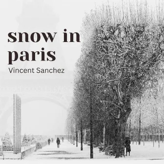 Snow in Paris by Vincent Sanchez