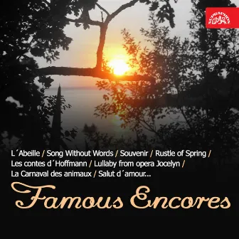 Famous Encores by Dalibor Brazda