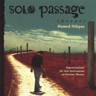 Solo Passage (Gozar) by Hamed Nikpay