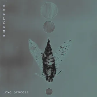 Love Process by Amalgama