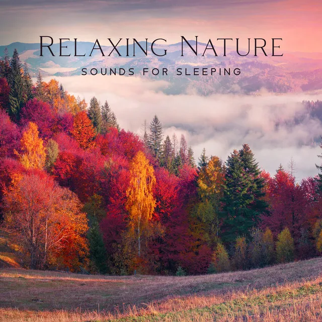 Relaxing Nature Sounds For Sleeping - Deep Healing Music For Meditation, Natural Calm (Forest, Waterfalls, Rivers, Birds)