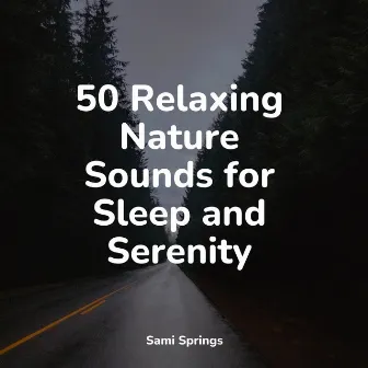 50 Loopable Rain Tracks by Study Music & Sounds