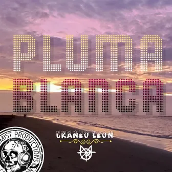 Pluma Blanca by 