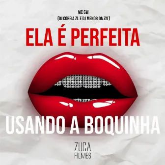 Ela É Perfeita Usando a Boquinha by DJ COREIA ZL