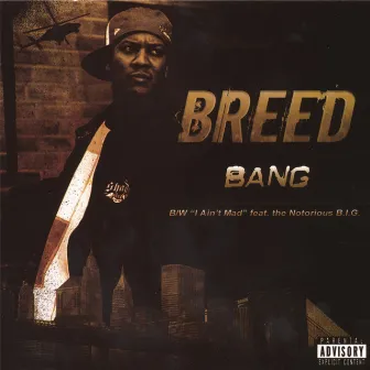 BANG by Breed