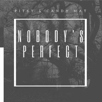 Nobody's Perfect by Pitsy