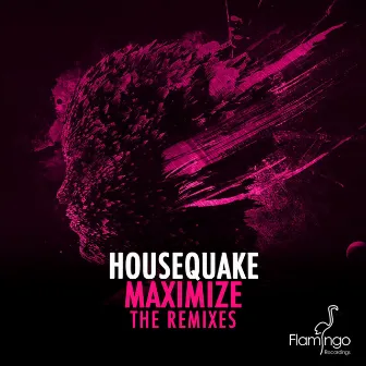 Maximize (The Remixes) by Housequake