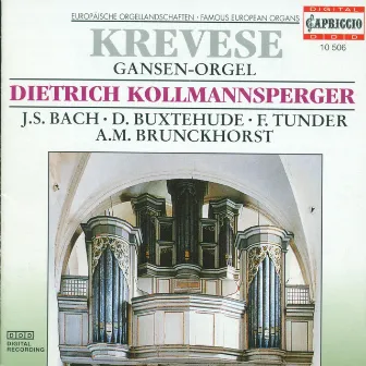 Organ Recital: Kollmansperger, Dietrich - Buxtehude, D. / Tunder, F. / Brunckhorst, A.M. / Bohm, G. / Bach, J.S. by Dietrich Kollmannsperger