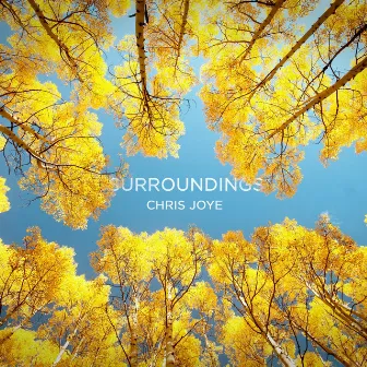 Surroundings by Chris Joye