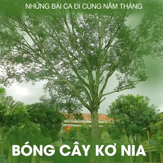 Bóng Cây Kơ Nia