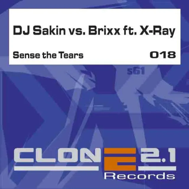 Sense the Tears (Original mix)