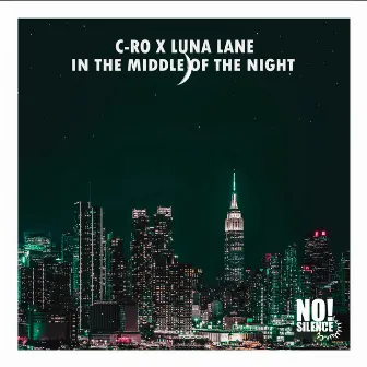 In the Middle of the Night by Luna Lane