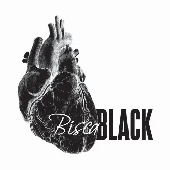 Bisca Black by Bisca