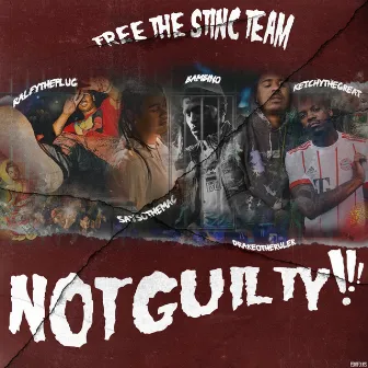 Free The Stinc Team - Not Guilty!!! by Stinc Team