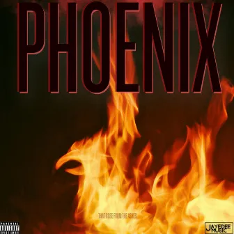 PHOENIX by Jayedee