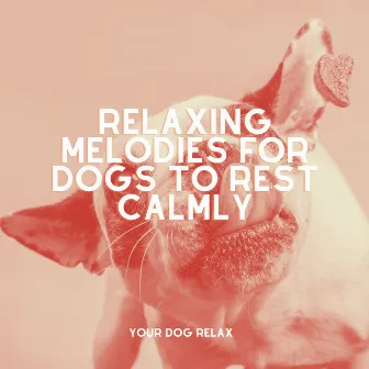 Relaxing Melodies for Dogs to Rest Calmly by Unknown Artist