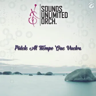 Pídele Al Tiempo Que Vuelva by Sounds Unlimited Orch.