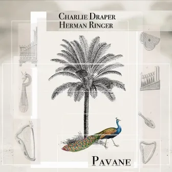 Pavane by Charlie Draper