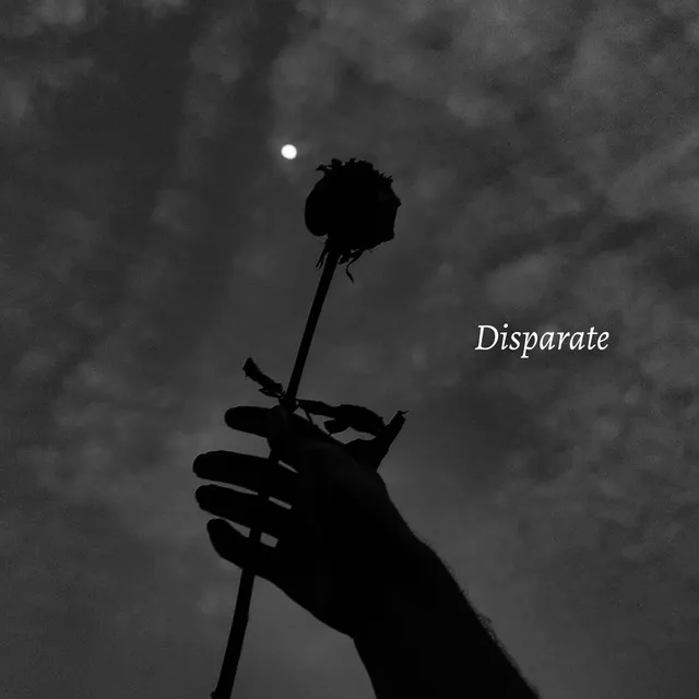 Disparate