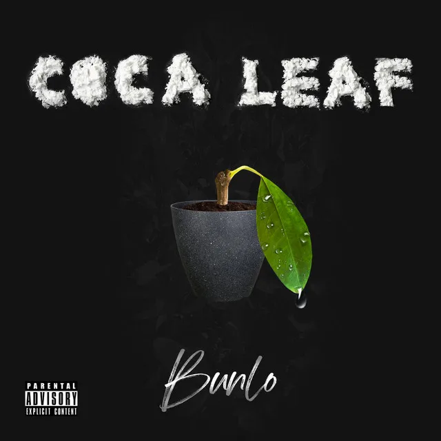 Coca Leaf