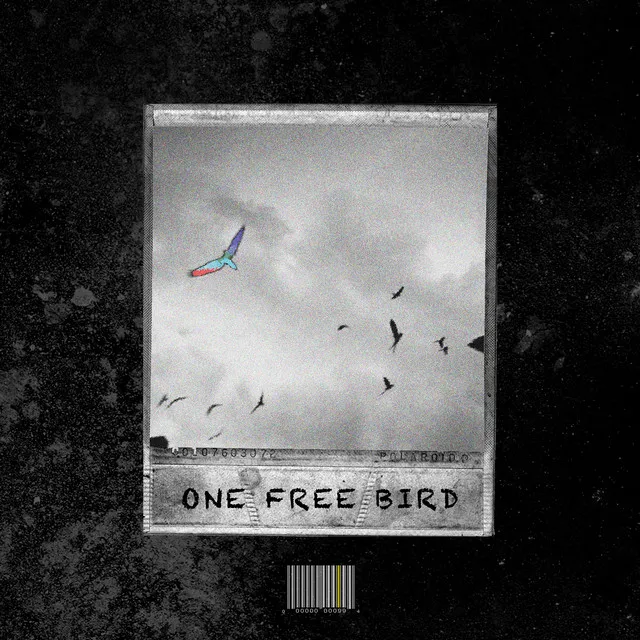 One Free Bird