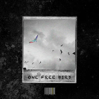 One Free Bird by JAiMS