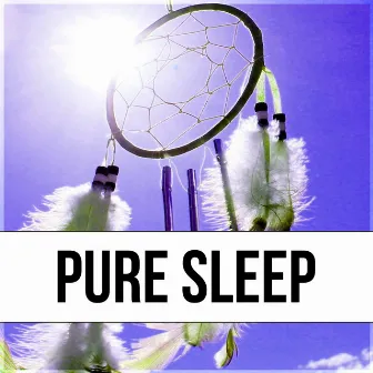 Pure Sleep – Restful Sleep, Soothing Music, Lullaby, Easy Listening, New Age Music, Sleep Deeply by Sleep Well Oasis