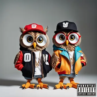 OWLs by Dre.