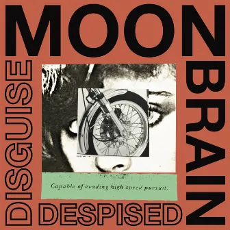 Disguise Despised by Moon Brain