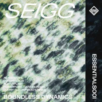 Boundless Dynamics by Seigg