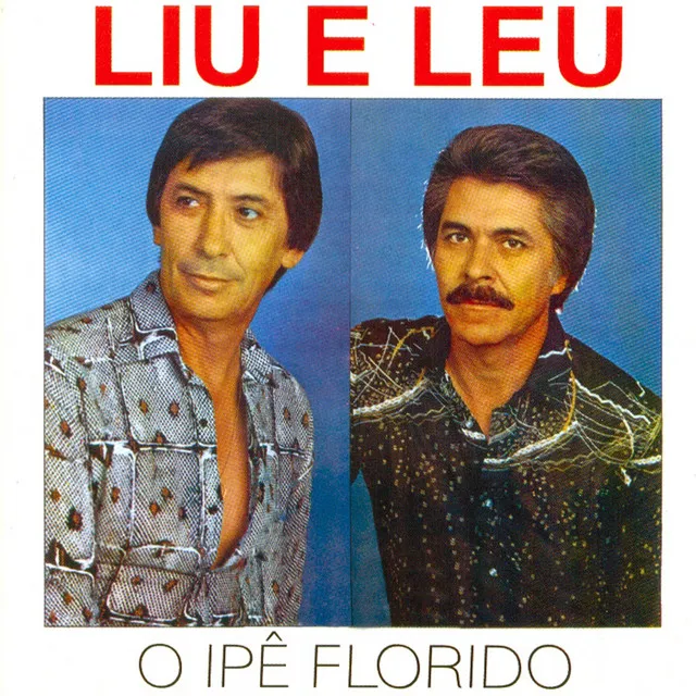 O Ipê Florido