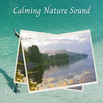 Calming Nature Sound Vol. 2 by Pink Noise Therapy