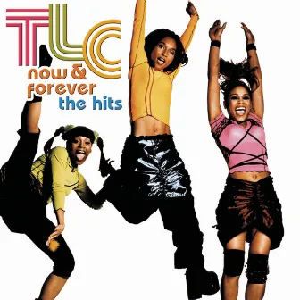 Now & Forever - The Hits by TLC