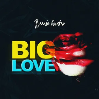 Big Love by Beenie Gunter