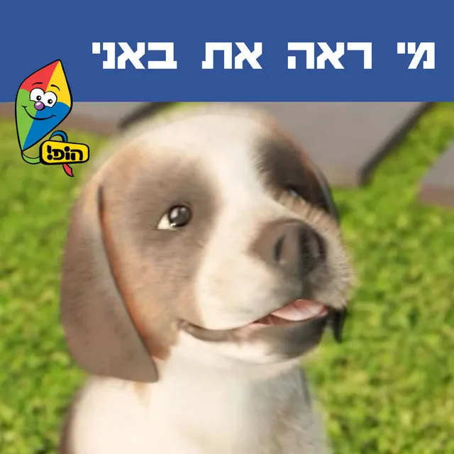 מי ראה את באני