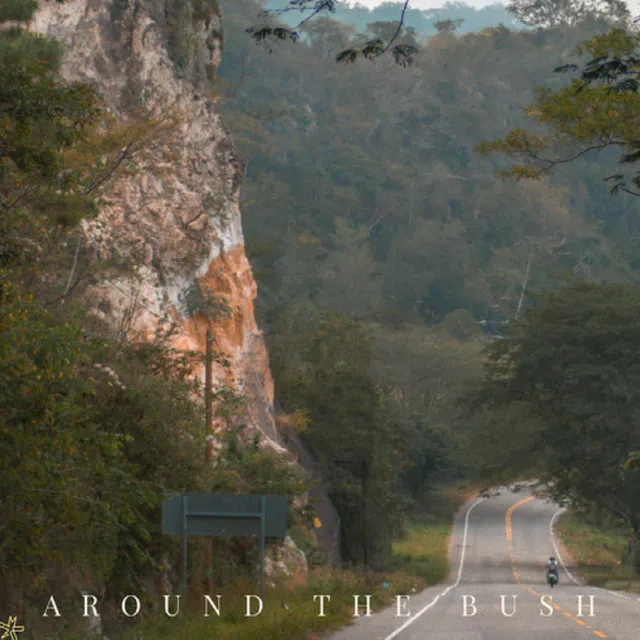 AROUND THE BUSH