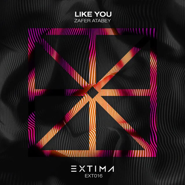 Like You - Radio Edit