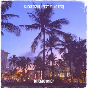 Successful by BrickBoyChop