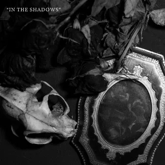 In The Shadows by Missing Words