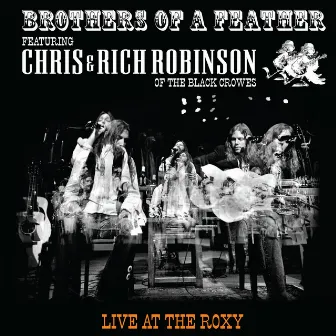 Brothers of a Feather: Live at the Roxy by Rich Robinson