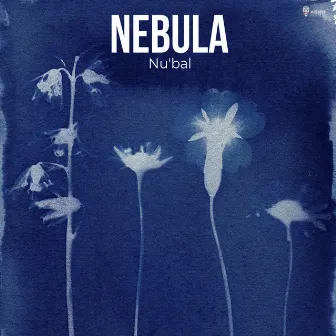 Nebula by Nu'bal