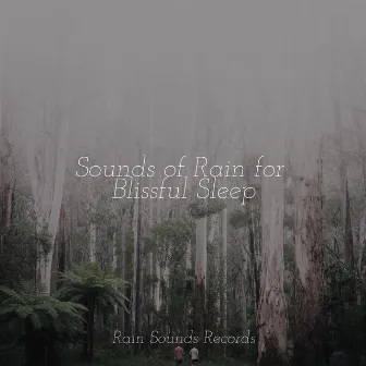 Sounds of Rain for Blissful Sleep by Sons da Natureza