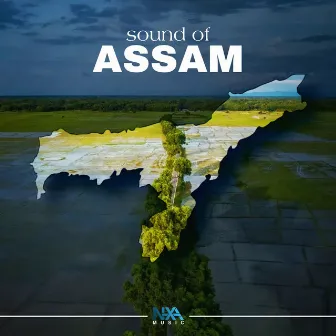 Sound Of Assam by Dpankar